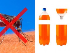 ペットボトルで簡単に蚊を撃退する方法　『蚊取りボトル』