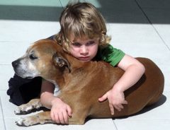 「なぜ犬は僕たちより早く死んでしまうの？」６才児の答えに世界中が感動