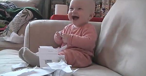 紙を破ると大爆笑 ８ヶ月の赤ちゃんの天真爛漫な笑顔が最高すぎる Grape グレイプ