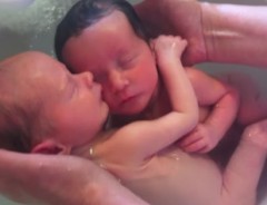 産まれたことに気づかず、抱き合い沐浴する双子　優しい時間にひたすら癒やされる