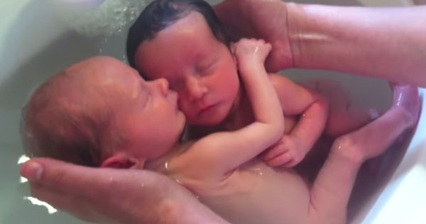 産まれたことに気づかず 抱き合い沐浴する双子 優しい時間にひたすら癒やされる Grape グレイプ
