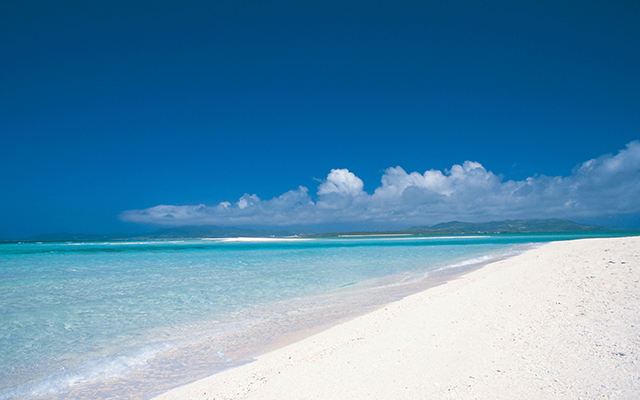 宮崎駿が手がける新施設が久米島にて準備中！「風の帰る森」とは grape [グレイプ]