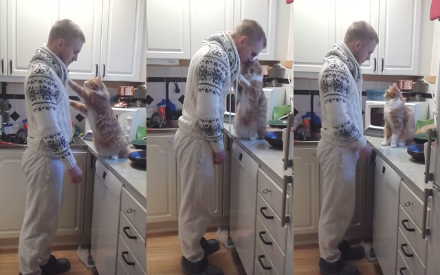 そばに来て 飼い主さんを呼ぶ猫 その後の行動が愛おしすぎてもだえる Grape グレイプ