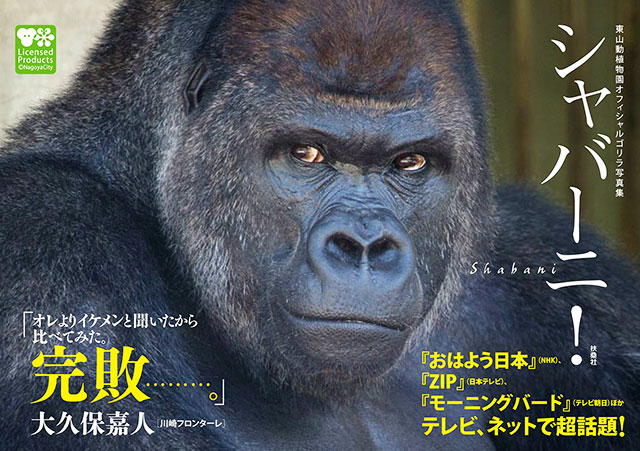 俺はただのゴリラじゃない 一匹のイケメンが新時代を築く Grape グレイプ 俺はただのゴリラじゃない 一匹のイケメンが新時代を築く Grape グレイプ