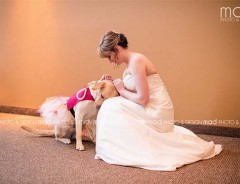 挙式の当日も支えていた…花嫁を見守る介助犬の姿