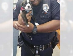 見るだけで優しい気持ちに。 子犬と運命の出会いを果たした警察官の顔に幸せあふれる