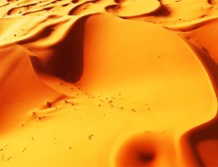 『サハラ砂漠』をドローンで撮影　上空から見る360度の絶景