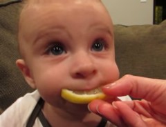 生まれて初めてレモンを食べた赤ちゃん　予想どおりの悲劇が！