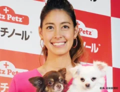 森泉の写真