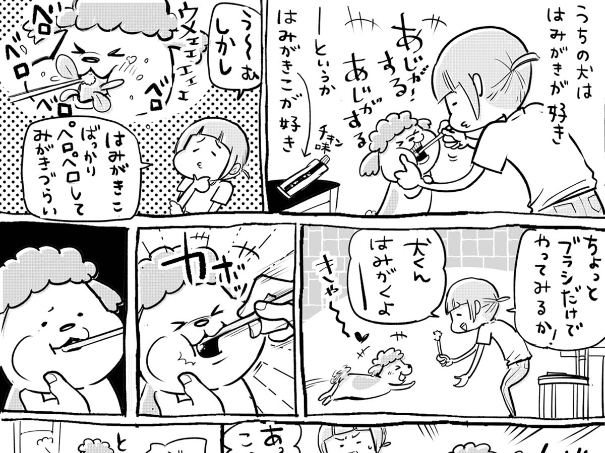 味にうるさい犬と猫 おいしいエサ にハッスルした結果 犬と猫どっちも飼ってると Grape グレイプ