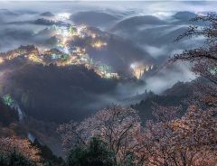 奈良県にある『桜雲海』　神様がいそうな４枚がこちら