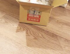 『箱にすっぽり収まった猫』に反響　「ジャストフィット」「これは最高の１枚」