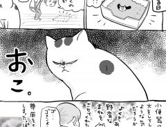 トイレにこだわりがあるお猫様　大便シートが用意されていないと…？