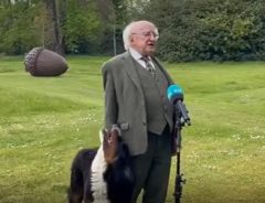 アイルランド大統領の会見がネットで話題　足元の愛犬が？　「笑った」「集中できない」