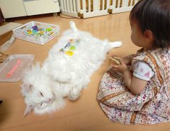 子供の遊びに付き合う愛猫、実は…？　子供と猫の関係性に心が温まる！