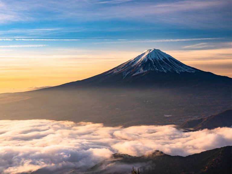 ２０２１年ラスト ６月１５日は 一粒万倍日 と 天赦日 が重なる最強の日 Grape グレイプ