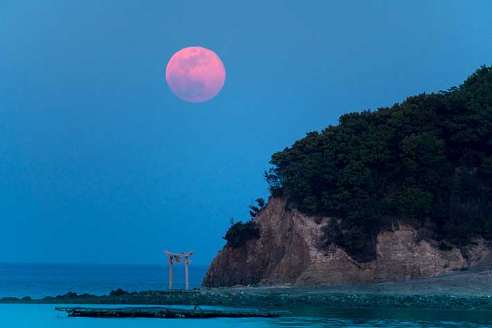 ６月２４日の夜は ストロベリームーン 特別な満月といわれる理由は ニフティニュース