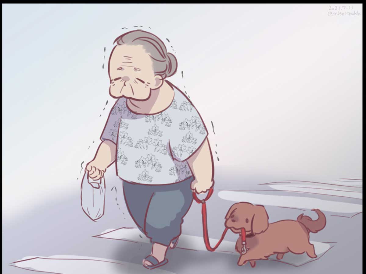 おばあさんと犬の散歩に５３万 いいね その理由は Grape グレイプ