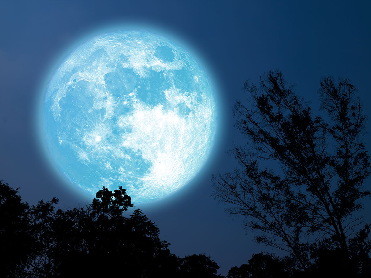 今夜 ２０２１年７月の満月は土星との天体ショーが楽しめる Grape グレイプ