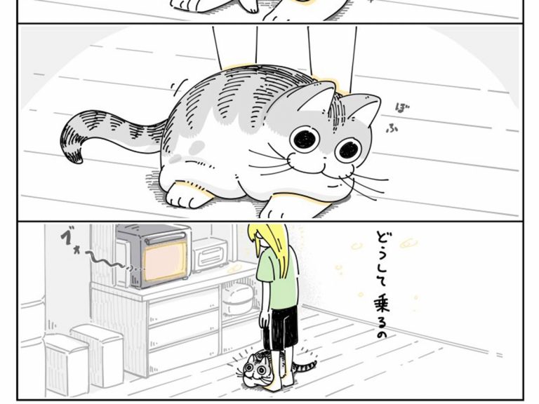 何度も足に乗ってくる猫 甘えているかと思いきや そういうことか Grape グレイプ