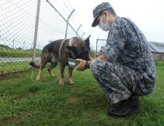 大雨による土砂災害で災害派遣をされた自衛隊　約３００人隊員と３匹の犬たちが活動終了