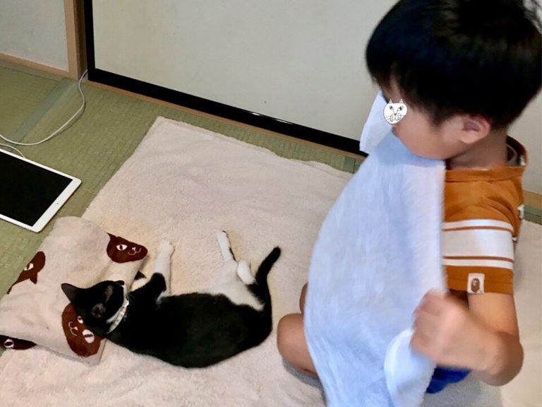 布団で眠る猫 に気付いた息子 続く展開が 平和すぎた Grape グレイプ