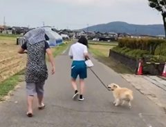 「明らかにおばあちゃんじゃないんだよなあ…」　犬と一緒に歩く人の正体は？