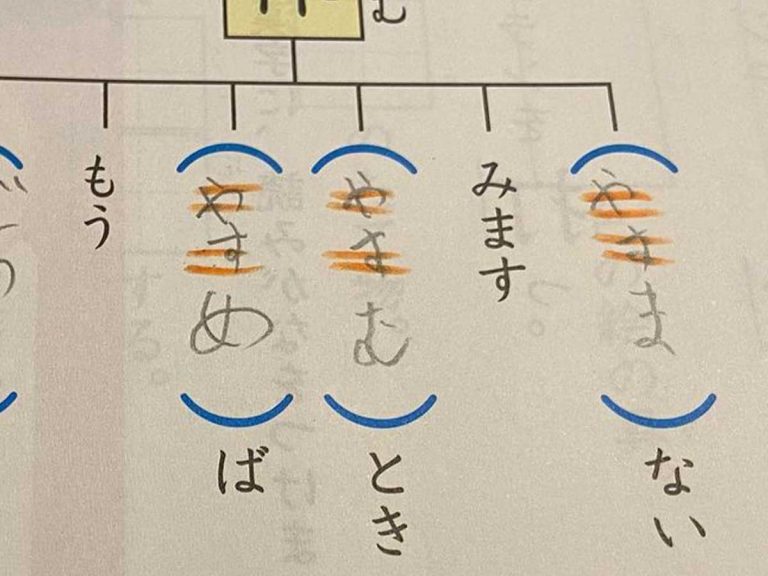 国語の勉強をしていた小３の息子 最後の解答欄に珍解答が Grape グレイプ