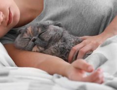なんという小悪魔…！　女性の腕の中で寝ていた猫　直後の行動に赤面