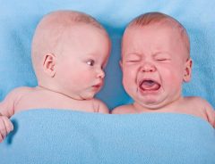 「マジで？」　隣で泣き始めた兄弟を見た赤ちゃんの表情に爆笑！