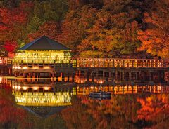 写真家が撮影した秋の京都に「光の宮殿」「すごくきれい」と絶賛の声！
