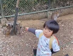 親「マジ何しに来たん」　せっかく動物園へ行ったのに、４歳の息子が？