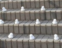 「なんじゃこりゃー！」　大学の階段に、並べられていたのは？