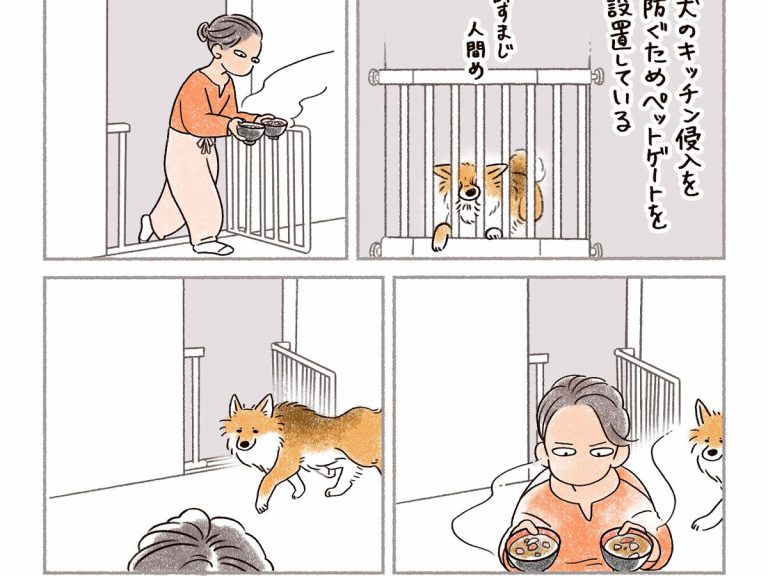 味噌汁を運ぶ飼い主 それを見た犬が まさかの行動に Grape グレイプ