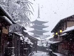 雪降る京都の動画を『逆再生』すると？　映っていたものに「すごすぎる」の声