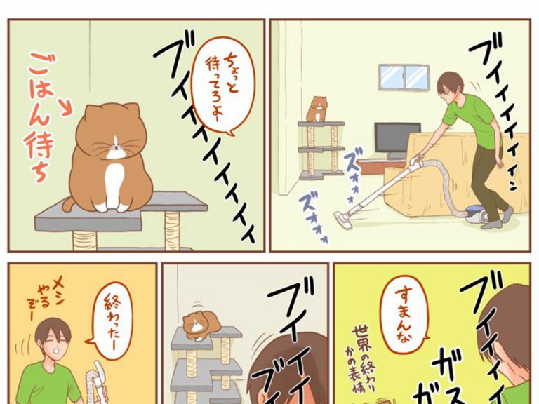 飼い主 ほのぼの漫画に憧れている アグレッシブな猫の行動に困惑 Grape グレイプ