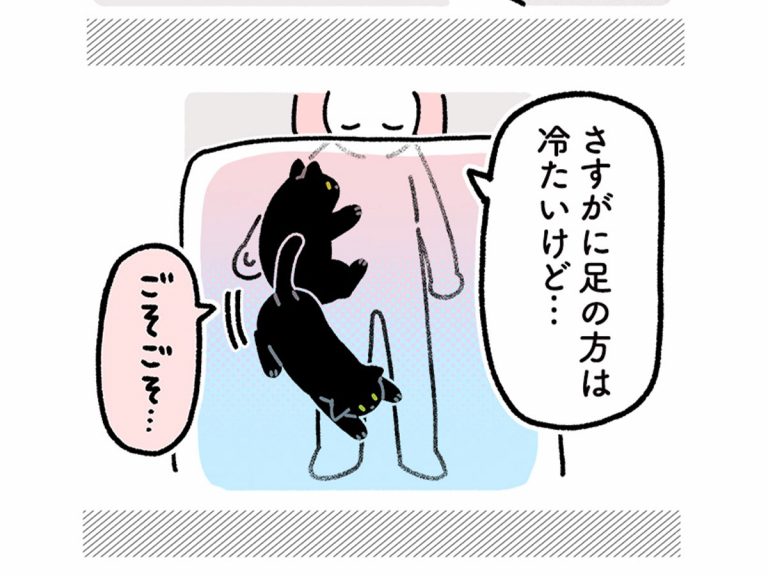 就寝前 布団の中にいた猫 その後の行動に もはや天才 の声 Grape グレイプ