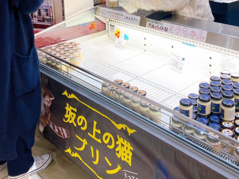 イオンでプリンを販売していた店員の姿に 二度見した 来てほしい Grape グレイプ