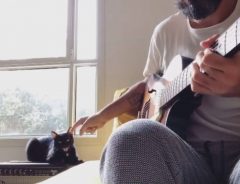 アドリブまで完ぺき！　ギターに合わせて『歌う猫』　「猫界のマライアだ」