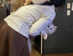 『キョトン』顔の子猫　抱える妻が、助けを求めたワケがこちら！