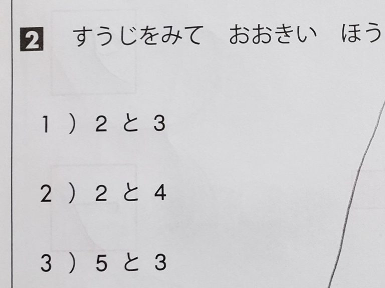 違う そうじゃない 大きい数字を選ぶ算数の問題で次女が解答したのは Grape グレイプ