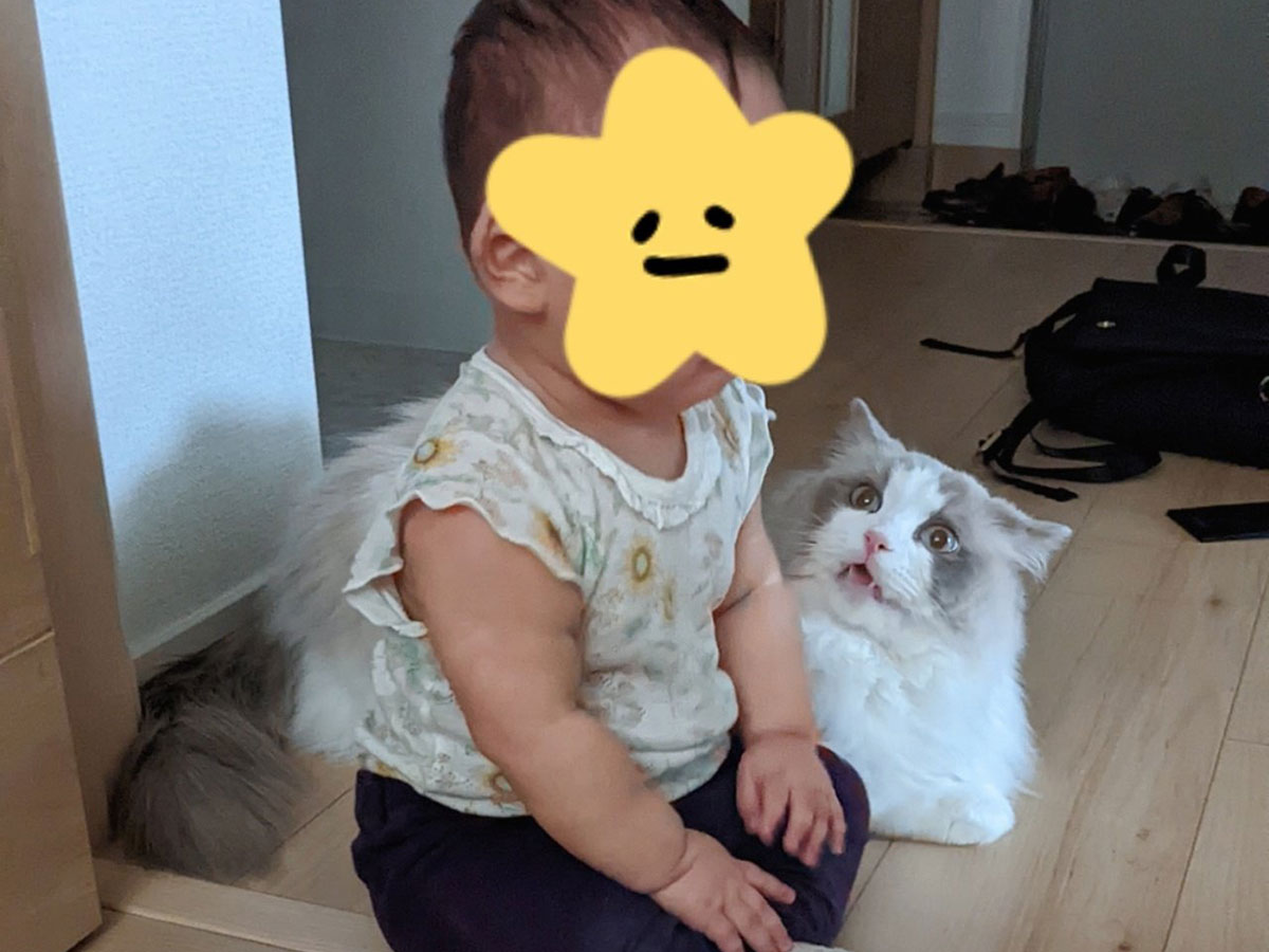 赤ちゃんと猫の画像