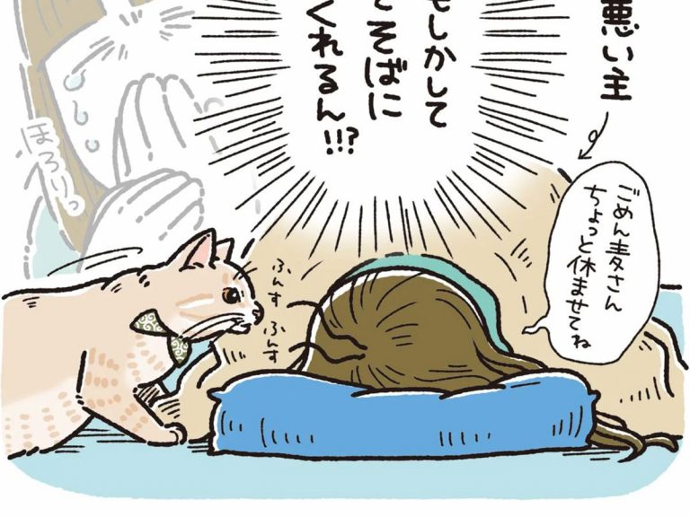 体調不良の飼い主 猫の行動に「あるある」の声相次ぐ – grape [グレイプ]