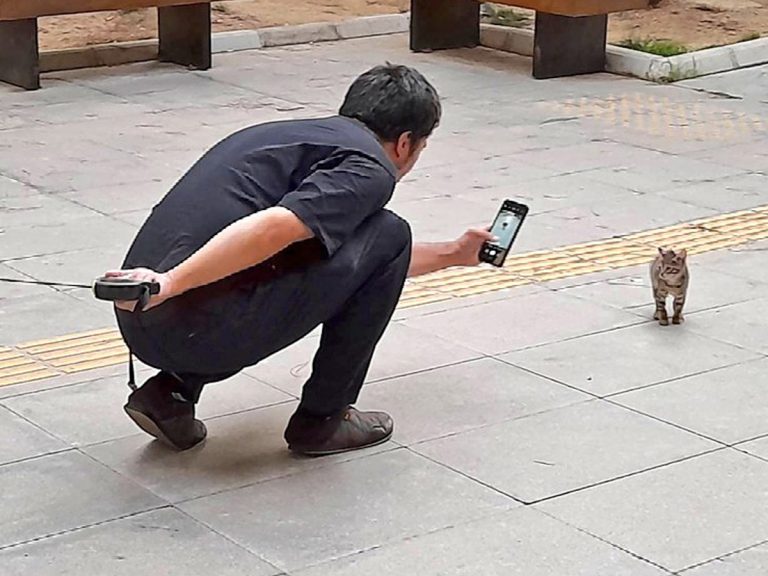 やんのかポーズ する猫を撮っていると 後ろで待っていたのは Grape グレイプ