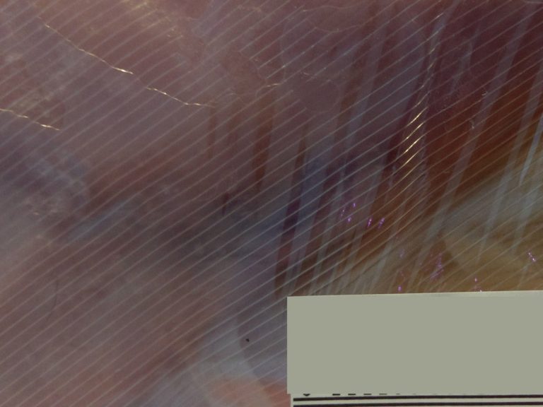 購入した肉の商品名に 切ない 意味を初めて知った Grape グレイプ