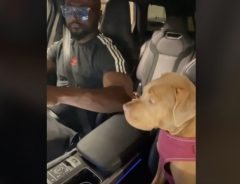 車の中で音楽を聞く男性　すると愛犬が？　「俺の母親よりノリがいい」