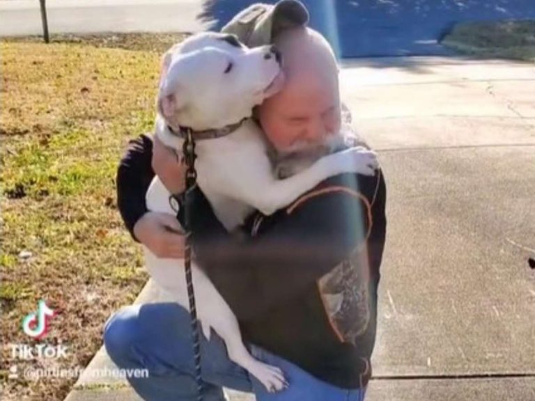 抱き合う男性と犬 感動の再会シーンかと思ったら 嬉し涙が出た Grape グレイプ