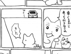 「めっちゃ分かる」「笑った」　車道にいる猫を発見、その後の行動に共感