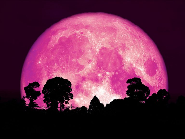 今夜 ２０２２年６月１４日は ストロベリームーン ある いい伝え があって Grape グレイプ
