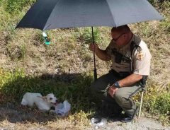 優しすぎる！　猛暑の中、ケガをした野良犬を保護した警察官　その数日後？